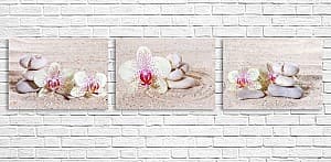 Tablou multicanvas Art.Desig ORCHIDEE 4