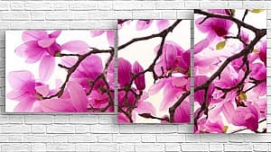 Tablou multicanvas Art.Desig ARBORELE MAGNOLIEI ÎN FLOARE