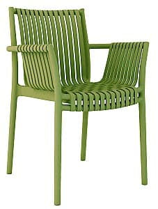  Rainbow Victor Verde