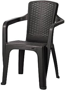  Sonmez Infinity Wengue (maro)