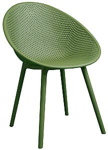  DP Castor Зеленый