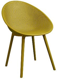  DP Castor Желтый