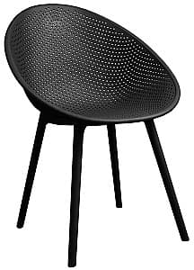  DP Castor Черный