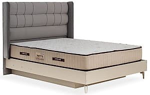 Pat Modalife Vivaldi 160x200