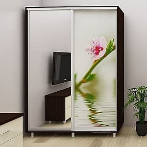 Dulap-Cupe PS DX-200 (1) Sacura Mokka