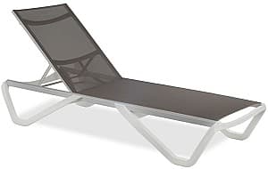 Sezlong Papatya Wave Taupe