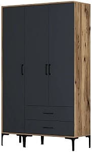 Dulap Trendy Kumsal ST Nuc / Antracit
