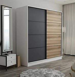 Шкаф-купе Trendy Kale 3160