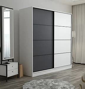 Шкаф-купе Trendy Kale 3166