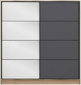 Шкаф-купе Trendy Kale 3175