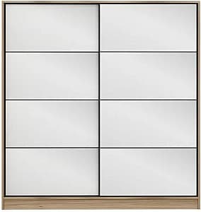 Шкаф-купе Trendy Kale 3173