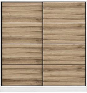 Шкаф-купе Trendy Kale 3962