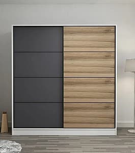 Шкаф-купе Trendy Kale 3964