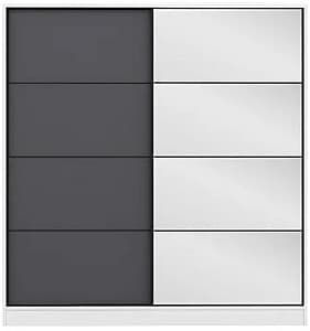 Шкаф-купе Trendy Kale 3967