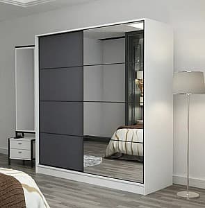 Шкаф-купе Trendy Kale 7155