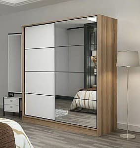 Шкаф-купе Trendy Kale 7161
