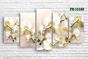 Tablou multicanvas Art.Desig Orhidee FB-10185